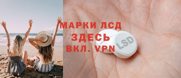 прущие грибы Каменка