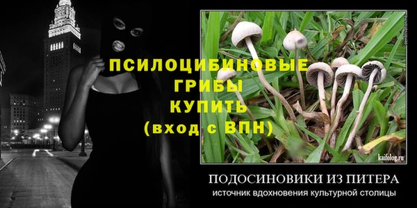 амф Инта
