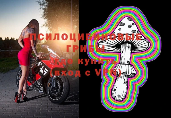 прущие грибы Каменка