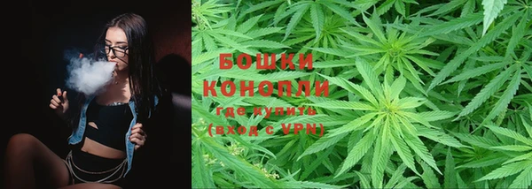 прущая мука Инсар