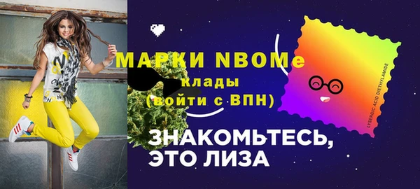 прущие грибы Каменка