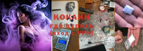 прущие грибы Каменка