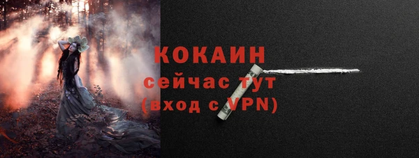амф Инта