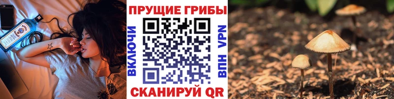 Псилоцибиновые грибы Magic Shrooms  Купить где  Дедовск 
