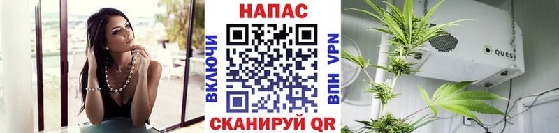 Шишки марихуана семена  Купить  Дедовск 