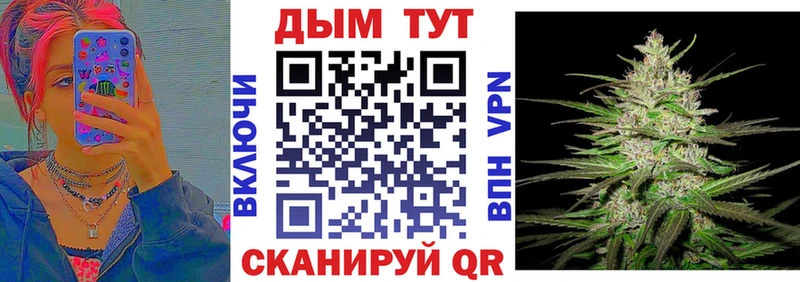Конопля план Дедовск